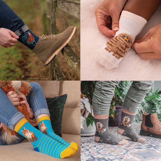 Collage di quattro immagini che mostrano l'intera collezione di calze, disponibili per uomo, donna, bambini e neonati; tutte sono mostrate in immagini ambientate che ne mostrano l'utilizzo