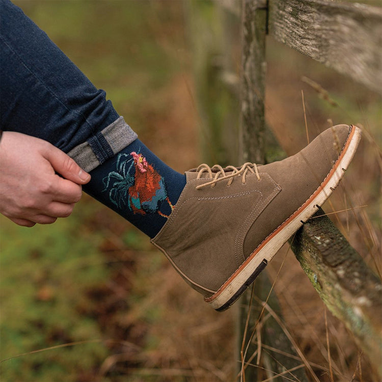 Calza Wrendale Designs da uomo in blu con motivo di gallo colorato, indossata con scarponcino beige in un ambiente naturale all’aperto.
