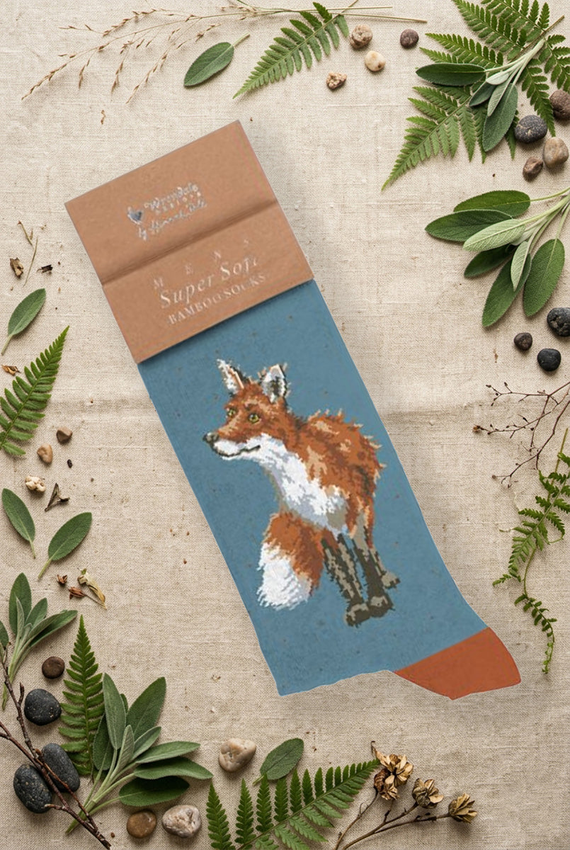 Calza da uomo Wrendale Designs in bambù azzurro con ricamo di una volpe seduta, fotografata su sfondo naturale primaverile.