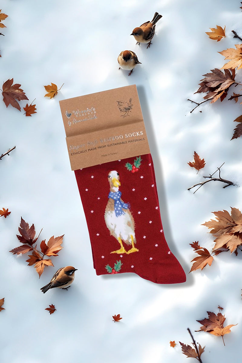 Calza da donna Wrendale Designs in bambù rosso con anatra natalizia ricamata e piccoli pois bianchi, fotografata su sfondo invernale con neve e foglie secche.