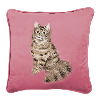 Cuscino in velluto rosa Wrendale Designs con ricamo di un gatto tigrato seduto, fotografato su sfondo bianco.