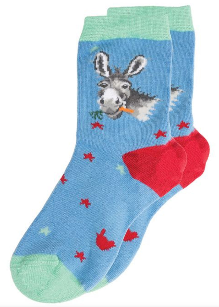 Coppia di calze Wrendale Designs da bambini in azzurro con polsino verde e tallone rosso, decorate con asinello che mangia una carota e piccoli motivi a stelle, su sfondo bianco.