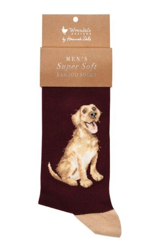 Calza da uomo Wrendale Designs in bambù color bordeaux con ricamo di un Labrador dorato seduto e sorridente, presentata su sfondo neutro con cartoncino kraft del brand.