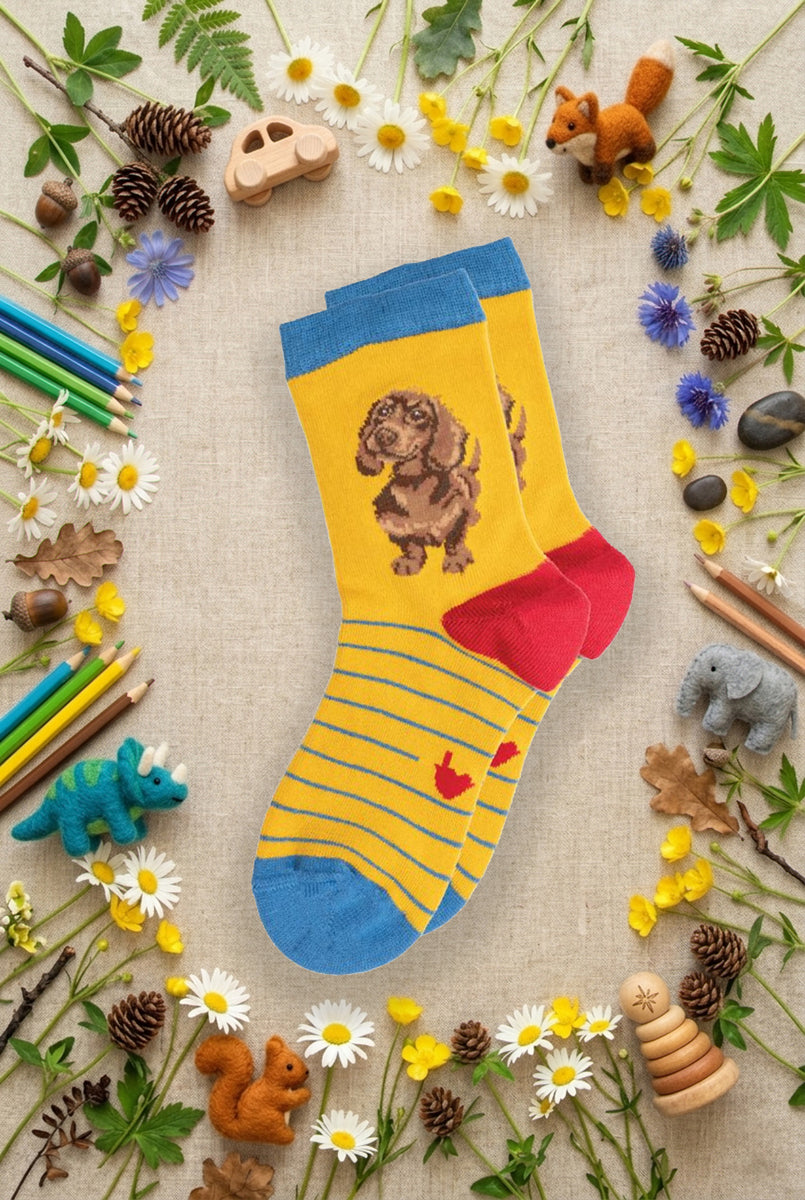 Calze Wrendale Designs da bambini in giallo e rosso con bassotto ricamato, presentate su sfondo naturale primaverile, animaletti in feltro e matite colorate.