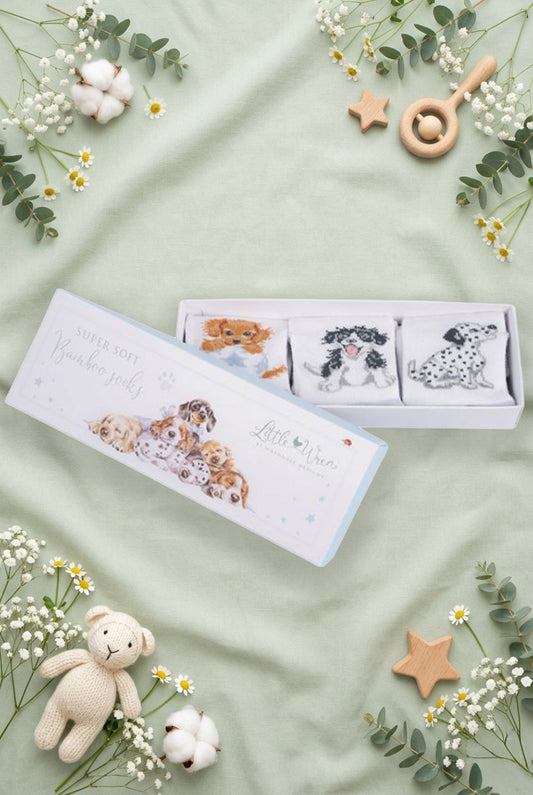 Scatolina regalo Wrendale Designs per neonati decorata con cuccioli di cane, contenente tre paia di calzini bianchi con ricami di cagnolino nel guscio, dalmata e cucciolo nero e bianco, posizionata su fondo verde salvia primaverile con foglie, fiori e giochini.