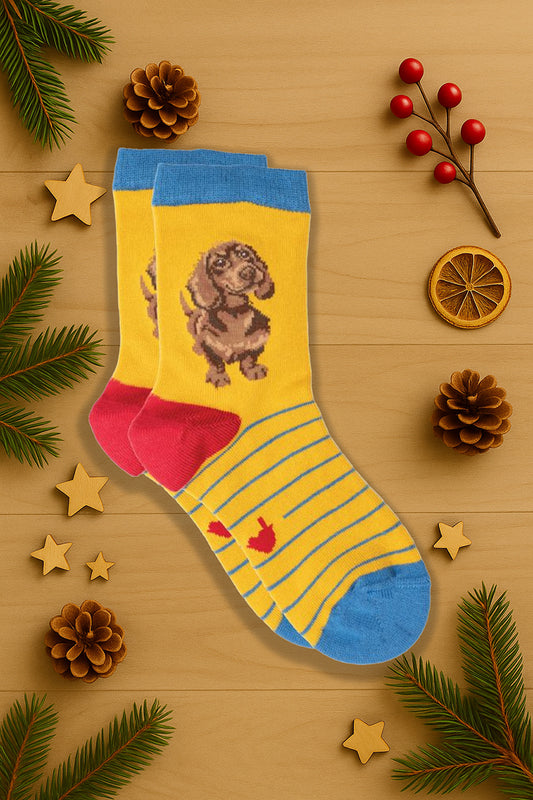 Calze Bambini in bamboo Wrendale Designs: Little One Dachshund