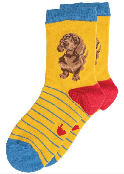 Coppia di calze Wrendale Designs da bambini in giallo con righe sottili blu, tallone rosso e polsino azzurro, decorate con bassotto marrone, su sfondo bianco.