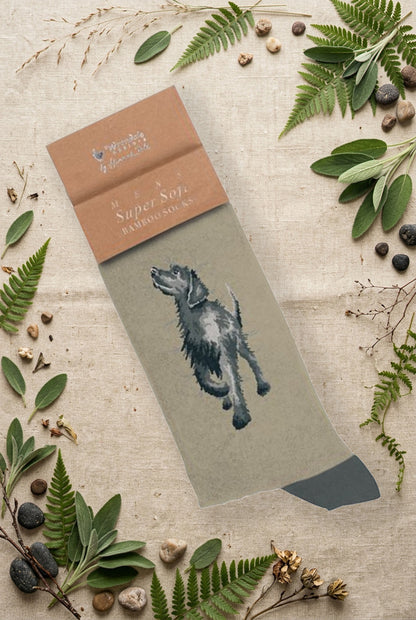 Calza da uomo Wrendale Designs in bambù beige con illustrazione di un labrador grigio, fotografata su sfondo naturale primaverile.