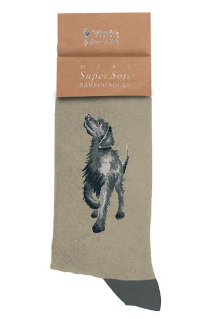 Calza da uomo Wrendale Designs in bambù beige con ricamo di un labrador grigio in posizione gioiosa, presentata su sfondo neutro con cartoncino kraft del brand.