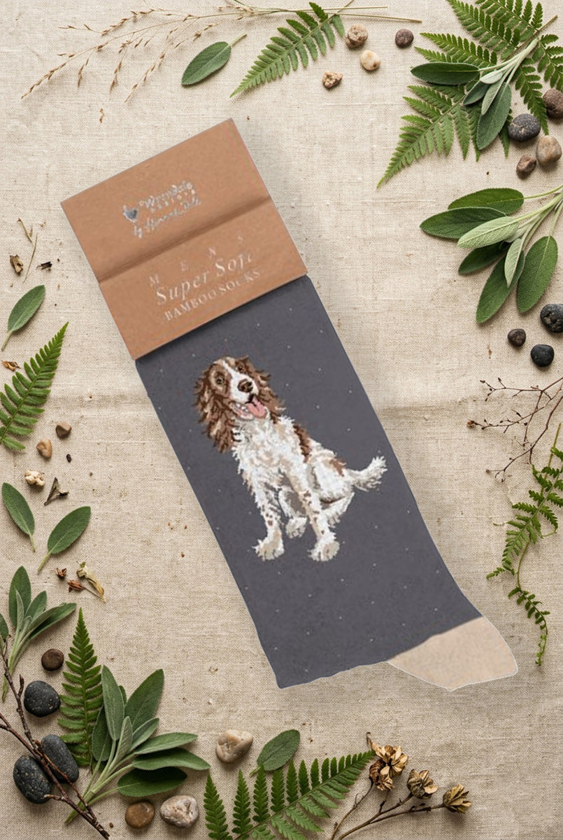 Calza da uomo Wrendale Designs in bambù grigio scuro con illustrazione di uno spaniel bianco e marrone, fotografata su sfondo naturale primaverile.