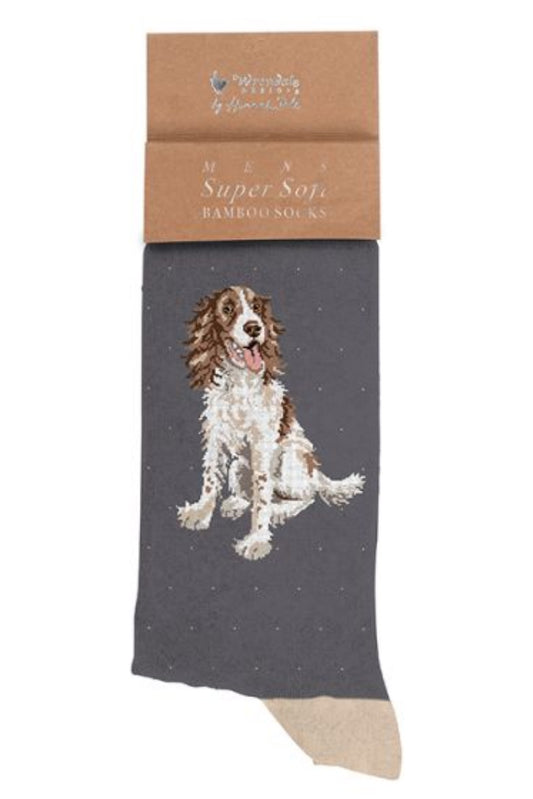 Calza da uomo Wrendale Designs in bambù grigio scuro con ricamo di uno spaniel bianco e marrone seduto, presentata su sfondo neutro con cartoncino kraft del brand.